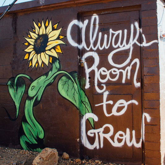 A painted tall funky sunflower with the words, always room to grow, painted in white.